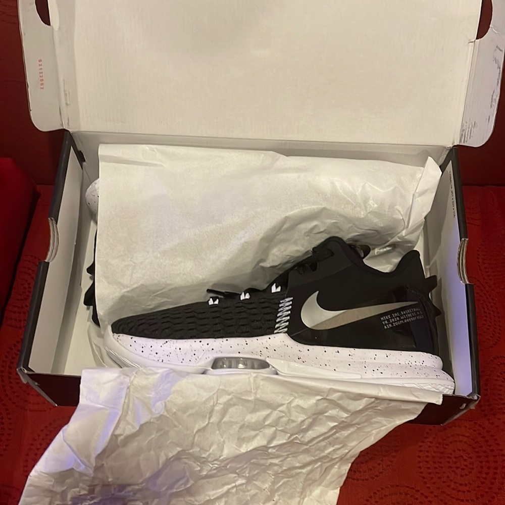 Nike Lebron Witness V | Size 11, never worn, still in the box.